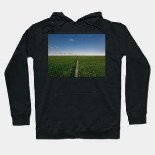 footpath piercing a wheat field Hoodie